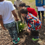 Spring Scavenger hunt 1