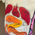 learning whats inside my body 1